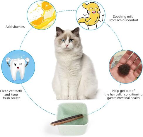 Catnip Toy, 3 Pack Cat Toys Cat Pillows Plush Cat Chew Toys with 2 pcs Catnip Sticks Interactive Cat Kicker Toys for Indoor Cats Cat Toys with Catnip Cat Nip Toys for Kittens in Saudi Arabia
