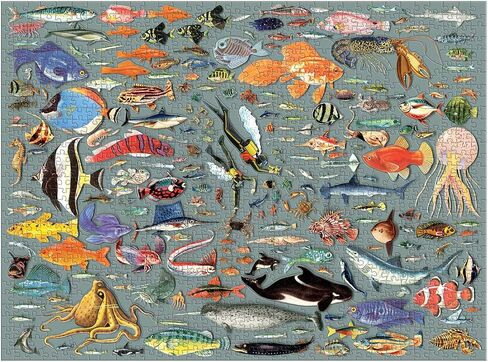 Galison Deepest Dive Puzzle, 1000 Pieces, 27" x 20" – Jigsaw Puzzle Featuring 20 Shaped Puzzle Pieces, Illustration by Ben Gilles – Thick, Sturdy Pieces, Challenging Family Activity, Great Gift Idea in Saudi Arabia