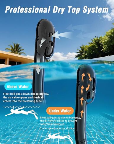 Snorkeling Gear for Adults, Dry Top Snorkel Mask Adult 2 Packs, Snorkel Set with 180°Panoramic Wide View, Anti-Fog Scuba Diving Mask for Snorkeling Swimming Travel in Kuwait