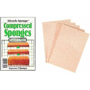 Compressed Sponges 4/Pkg, 3"X4"