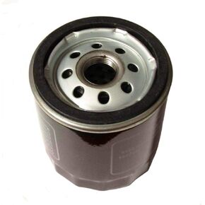 RAParts Fits Ferris Simplicity Hydraulic Transmission Oil filter for 1719168 1719168X1