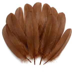 PMYUMAO 300pcs Colorful Feathers for Crafting,5-7inch Bulk Natural Feathers for Kindergarten Kids DIY Crafts,Costume Decorations,Wedding Home Party Decorations,Dream Catcher Supplies.（ Colorful）