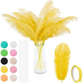VONMXVTE 24pcs Black Ostrich Feathers 10-12inch (25-30cm) Feather for Wedding Flower Arrangement and Home Decoration，Black Party Decorations. (Black)