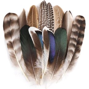 MehelloFeather Natural Pheasant Feathers 12Pcs Bulk Feathers 6 Style for DIY Crafts Hat Floral Arrangements Holiday Decoration