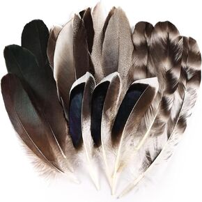 Daieeparty 15pcs Pheasant Feathers 5-8inch Natural Craft Feather for Home DIY Dreamcatcher Hat Costumes Decoration(5 Styles)