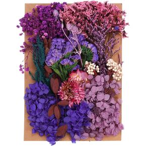 PATIKIL Pressed Flowers for Craft, Bulk Dried Flowers Natural Pressed Flowers Leaves for Resin Soap Candle Scrapbooking DIY Gift Papermaking, Purple