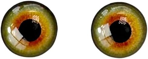 MS 15-11 20 Pairs in Green, Realistic Irises, Adhesive or Self-Adhesive 3D Resin Eyes, 11mm Wide, for use with Clay, Cold Porcelain, Polymer Clay, EVA, Felt, Fabric, Plaster, Paper, Ceramics in Kuwait