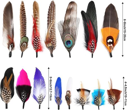 MehelloFeather Hat Feathers 12 PCS Natural Feathers Mixed Assorted Hats Feathers for Cowboy Hat Fedoras Trilby Hats Panama Hat DIY Costumes Decorations in Kuwait