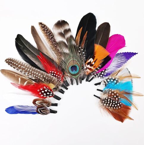 MehelloFeather Hat Feathers 12 PCS Natural Feathers Mixed Assorted Hats Feathers for Cowboy Hat Fedoras Trilby Hats Panama Hat DIY Costumes Decorations in Kuwait