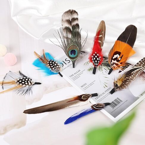 MehelloFeather Hat Feathers 12 PCS Natural Feathers Mixed Assorted Hats Feathers for Cowboy Hat Fedoras Trilby Hats Panama Hat DIY Costumes Decorations in Kuwait