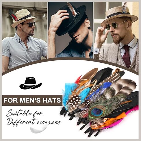 MehelloFeather Hat Feathers 12 PCS Natural Feathers Mixed Assorted Hats Feathers for Cowboy Hat Fedoras Trilby Hats Panama Hat DIY Costumes Decorations in Kuwait