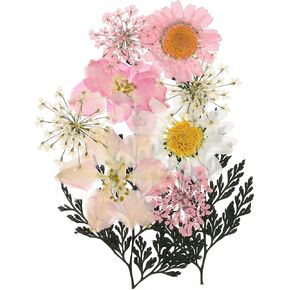 PATIKIL Dried Pressed Flowers, Real Pressed Flowers Dry Leaves for Scrapbook Supplies Card Making Resin Jewelry Making Soap Candle DIY Crafts, Pink