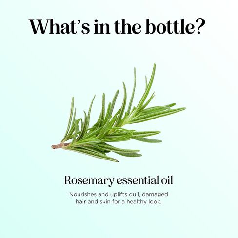 زيت البرغموت العطري للعلاج العطري - زيت البرغموت الحمضي النقي 100% لبشرة الشعر والأظافر بالإضافة إلى زيت عطري غير مخفف للعلاج العطري للحمامات الناشرة والاستخدامات الموضعية، 1 أونصة in Kuwait