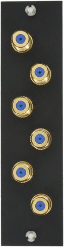 Leviton 47693-16P 1x16 Premium Amplified CATV Module in Kuwait
