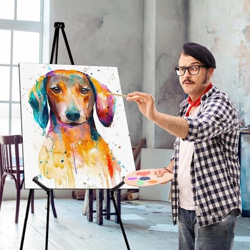 حامل حامل AROIC مقاس 63 بوصة للعرض، حامل معدني محمول قابل للطي، حامل لشعارات الزفاف والفنون والرسم وحوامل أرضية قابلة للتعديل (20 حزمة) in Kuwait