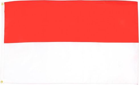 علم أيسلندا AZ FLAG 2x3 قدم، 90x60 سم، بوليستر 100D، درزات مزدوجة، حلقات معدنية in Kuwait