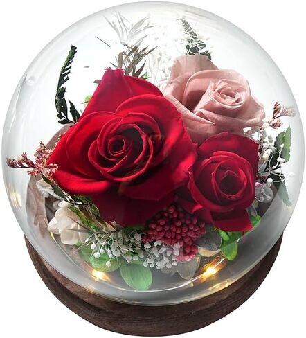 Unique Preserved Flowers Bouquet Gifts for Women, Real Forever Rose in Glass Dome with LED Light, for Birthday, Valentine's, Mother's Day, Christmas Day, Get Well, Home Décor in Saudi Arabia