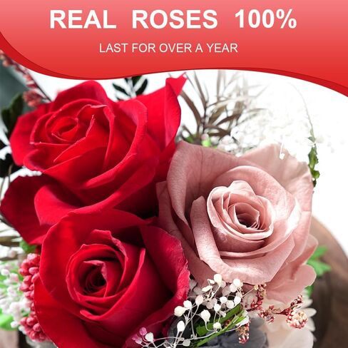 Unique Preserved Flowers Bouquet Gifts for Women, Real Forever Rose in Glass Dome with LED Light, for Birthday, Valentine's, Mother's Day, Christmas Day, Get Well, Home Décor in Saudi Arabia