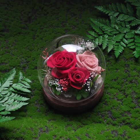 Unique Preserved Flowers Bouquet Gifts for Women, Real Forever Rose in Glass Dome with LED Light, for Birthday, Valentine's, Mother's Day, Christmas Day, Get Well, Home Décor in Saudi Arabia