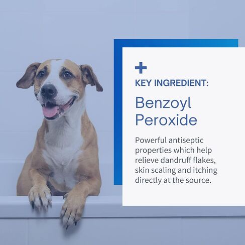 Dandruff Shampoo for Cats & Dogs - Benzoyl Peroxide with Vitamin E - Medicated Treatment for Itchy & Dry Skin, Seborrhea, Mange, Folliculitis, Dermatitis, Acne, Flakes & Skin Scaling - 12oz in Kuwait