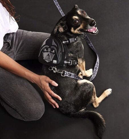 حقيبة ظهر صغيرة للكلاب من Loungefly Pets Star Wars Darth Vader Cosplay (صغير) in Saudi Arabia