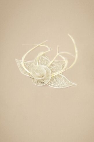قبعات BABEYOND Fascinators للنساء - قبعة حفلات الشاي Kentucky Fascinator Derby ريشة زهرة مشبك شعر لحفلات الزفاف in Saudi Arabia