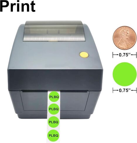 3/4" Coding Label Color Circle Dot Sticker 0.75 inch Round Self Adhesive Thermal Sticker Dots for Office, Student Classroom (1000pcs, Light Green Color) in Saudi Arabia