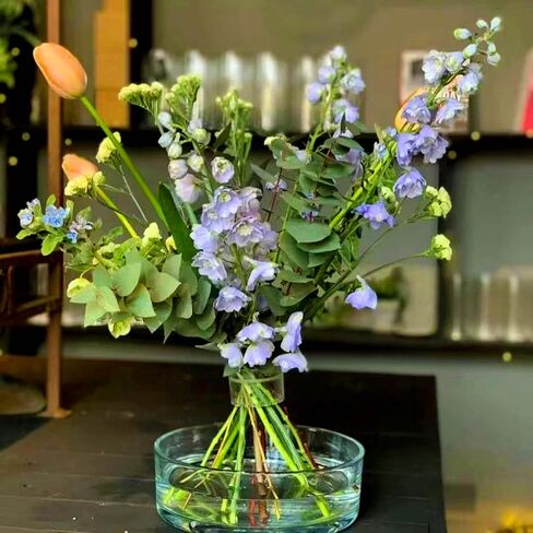 2 pcs Spiral Ikebana Stem Holder,Spiral Stem Holder for Flowers and Plant,Ikebana Stem Holder for Flowers,Spiral DIY Bouquet Twister for Flower Arrangement, Floral Arranging Holder for Vase,Clear,S,L in Saudi Arabia