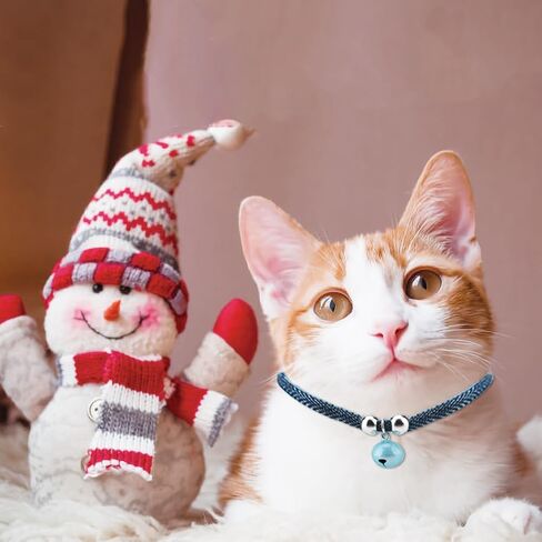 طوق قطة مع جرس للقطط، قلادة بمشبك امان قابل للتعديل، مستلزمات الحيوانات الاليفة الصغيرة، اكسسوارات اشياء مخصصة للقطط، حزام مطاطي للامان للفتيات والرجال والقطط (ابيض) in Kuwait