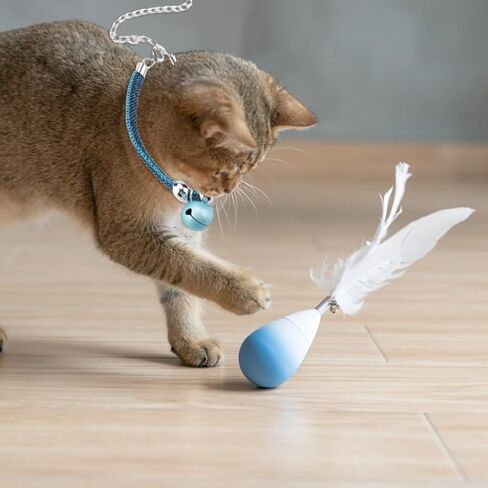 طوق قطة مع جرس للقطط، قلادة بمشبك امان قابل للتعديل، مستلزمات الحيوانات الاليفة الصغيرة، اكسسوارات اشياء مخصصة للقطط، حزام مطاطي للامان للفتيات والرجال والقطط (ابيض) in Kuwait