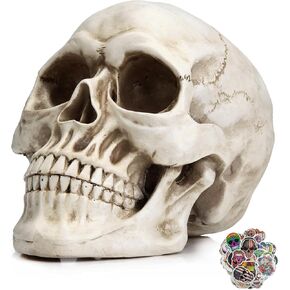 Life Size Human Skull Model 1:1 Replica Realistic Human Adult Skull Head Bone Model