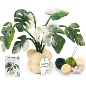 OEHPICC Needle Felting Kit, Plant Felt Kits, Wool Felting Kit with Felt Wool Balls, Felting Needles, Wool Felting Pad, Wool Roving, and Instructions for DIY Felting