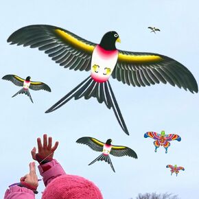 Biomimetic Kite Nature Inspired (large19.7 * 11.8 inch) Fluttering Bird Kite: Easy to Assemble, Innovative Biomimetic Swallow Design, Realistic Flight Dynamics