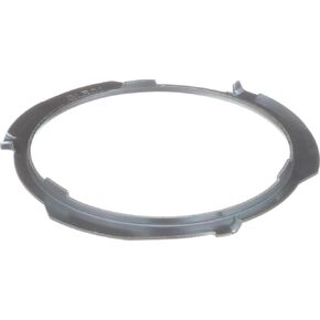 Delphi FA10028 Fuel Tank Lock Ring