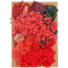 PATIKIL Pressed Flowers for Craft, Bulk Dried Flowers Natural Pressed Flowers Leaves for Resin Soap Candle Scrapbooking DIY Gift Papermaking, Red Series