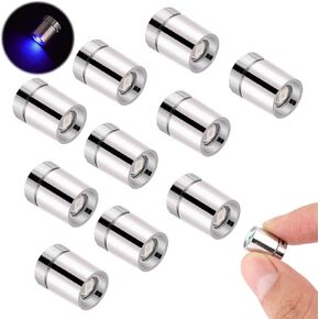 10pcs LED Mini Lights, Small Led Lights for Dollhouse Silver Plastic Battery Included Doll House Electric Lights for Paper Lantern Party Decoration Crafts Dollhouse Accessories(Warm White Light)