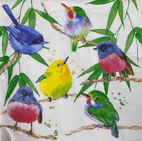 Set of 4 Birds paper napkins for decoupage and scrapbooking in Saudi Arabia