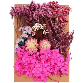 PATIKIL Pressed Flowers for Craft, Bulk Dried Flowers Natural Pressed Flowers Leaves for Resin Soap Candle Scrapbooking DIY Gift Papermaking, Rose Red