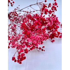 Mini Dried Pressed Baby's Breath Flowers - 100% Natural Flat Real White Gypsophila Baby Breath Bulk, Pressed Flowers for Resin, Frame Art, Scrapbooking, Wedding Invitation (Futsia)
