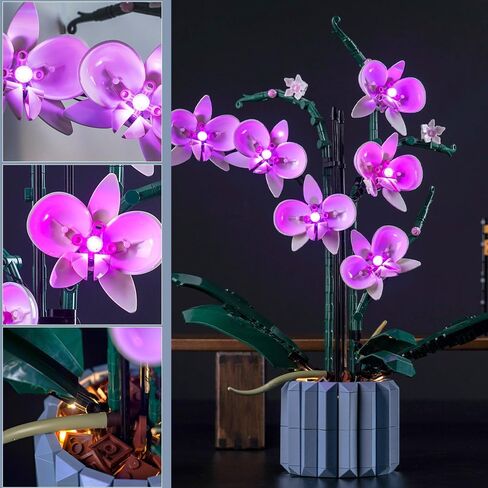 إضاءة LED من BrickBling متوافقة مع زهور Lego Orchid؛ مجموعة الإضاءة الإبداعية المتوافقة مع Lego 10311، هدية رائعة للبالغين in Kuwait