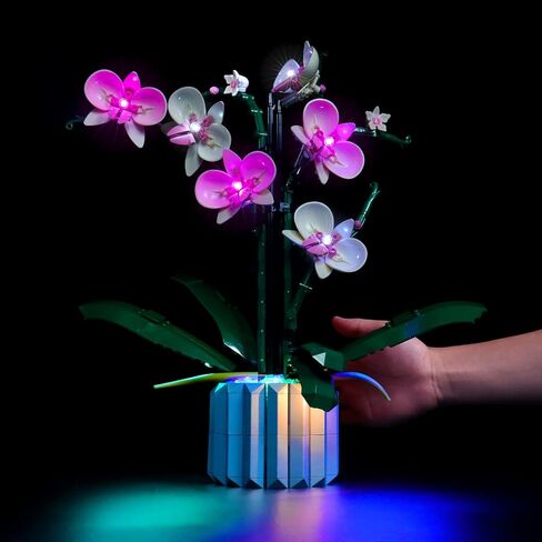 إضاءة LED من BrickBling متوافقة مع زهور Lego Orchid؛ مجموعة الإضاءة الإبداعية المتوافقة مع Lego 10311، هدية رائعة للبالغين in Kuwait