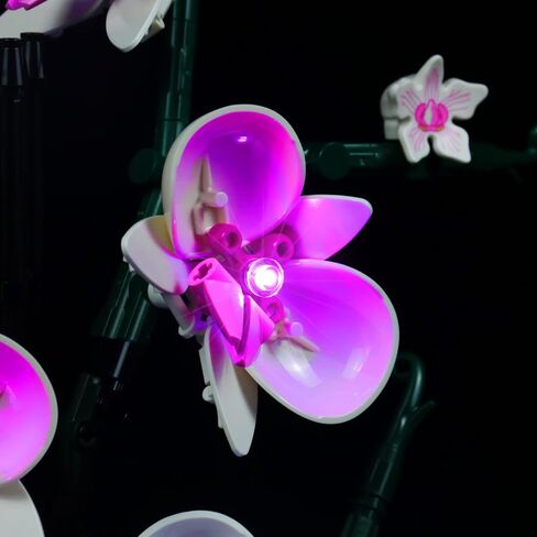 إضاءة LED من BrickBling متوافقة مع زهور Lego Orchid؛ مجموعة الإضاءة الإبداعية المتوافقة مع Lego 10311، هدية رائعة للبالغين in Kuwait