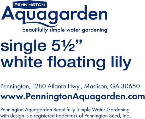 Mixed Floating Lilies, Plastic Floating Lily, 5 ½" Diameter, Pond/Aquarium Decorations (Pack of 2) in Saudi Arabia