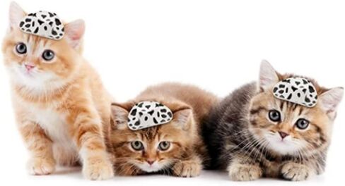 قبعة رعاة البقر الغربية الصغيرة، قبعة راعية البقر، 10 قطع من إكسسوارات زينة الحفلات، قبعة دمية لطيفة، قبعة بقرة بيضاء وسوداء لمستلزمات كعكة عيد الميلاد، ملحقات تزيين الدمية in Kuwait