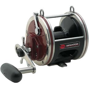 Penn Special Senator Star Drag Conventional Fishing Reel