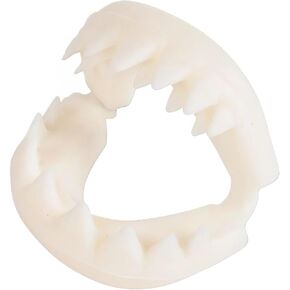 Rhode Island Novelty Great White Shark Teeth