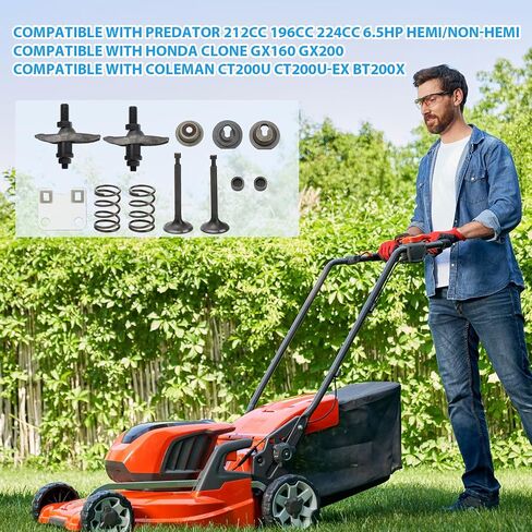 مجموعة صمامات الربيع متوافقة مع Predator 212cc 196cc 224cc Honda Clone GX160 GX200 Coleman CT200U BT200X Non-Hemi 5.5HP 6.5HP OHV Go Kart Mini Bike Racing أجزاء أداء المحرك in Saudi Arabia
