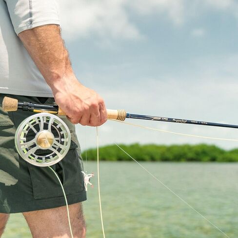 قضبان صيد الأسماك في تيمبل فورك in Kuwait