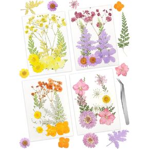 Cinvo 63 Pcs Real Dried Pressed Leaves Natural Dried Leaf for Candle Resin Jewelry Soap Nail Pendant Phone Case Crafts Making Floral Decors Scrapbooking DIY, 21 Styles