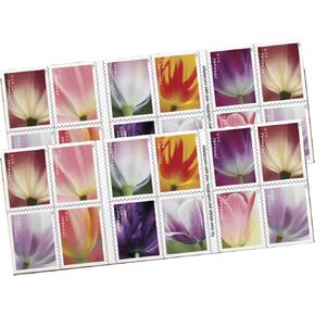 Tulip Blossom USPS Forever Postage Stamp 2 Books of 20 US First Class Flower Wedding Celebration Party Garden Announcement (40 Stamps)